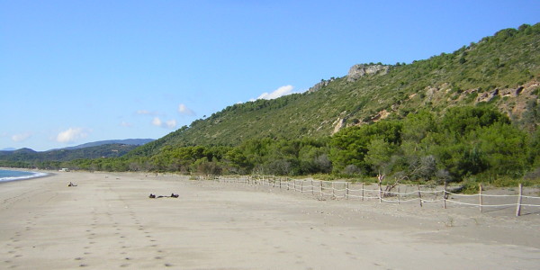 Spiaggia del Mingardo e Scoglio di Cala del Cefalo