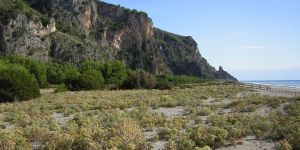 Spiaggia del Mingardo e Scoglio di Cala del Cefalo